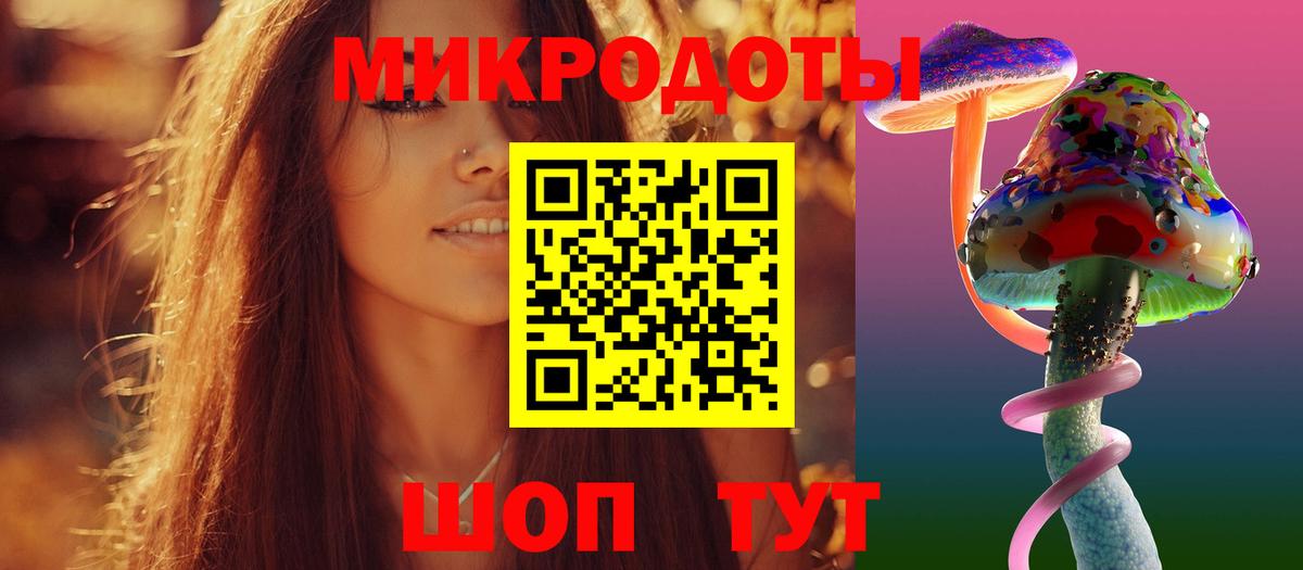 Галлюциногенные грибы Psilocybe  Вход с VPN  Северобайкальск 